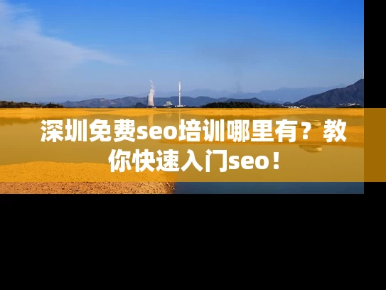 深圳免费seo培训哪里有？教你快速入门seo！