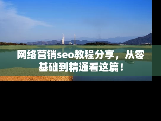 网络营销seo教程分享，从零基础到精通看这篇！
