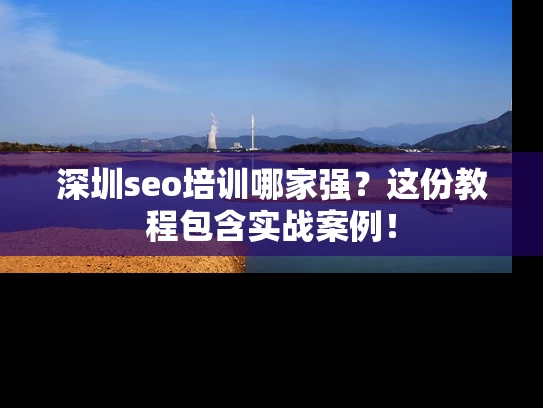 深圳seo培训哪家强？这份教程包含实战案例！