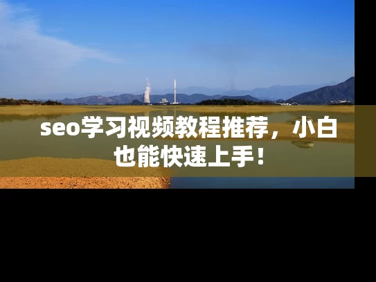 seo学习视频教程推荐，小白也能快速上手！