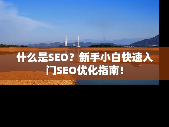 什么是SEO？新手小白快速入门SEO优化指南！