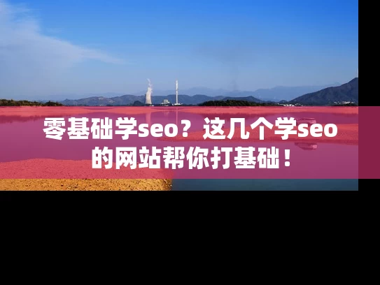 零基础学seo？这几个学seo的网站帮你打基础！
