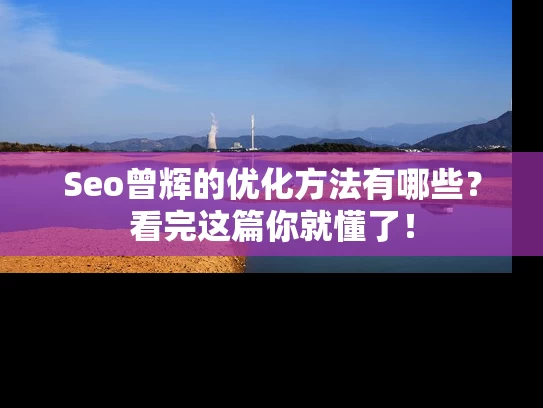 Seo曾辉的优化方法有哪些？看完这篇你就懂了！