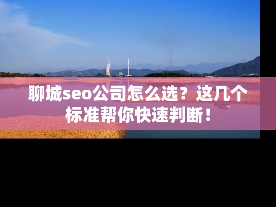聊城seo公司怎么选？这几个标准帮你快速判断！