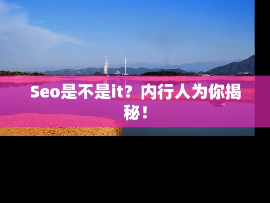 Seo是不是it？内行人为你揭秘！