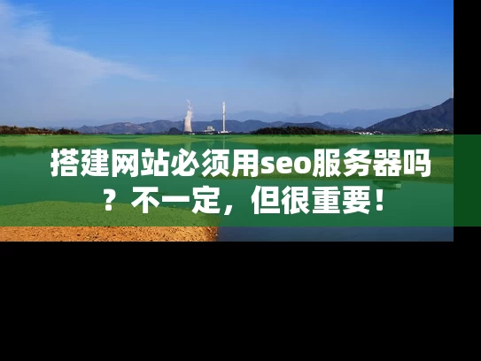搭建网站必须用seo服务器吗？不一定，但很重要！