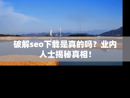 破解seo下载是真的吗？业内人士揭秘真相！