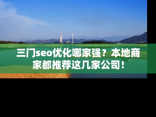 三门seo优化哪家强？本地商家都推荐这几家公司！