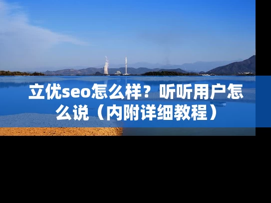 立优seo怎么样？听听用户怎么说（内附详细教程）