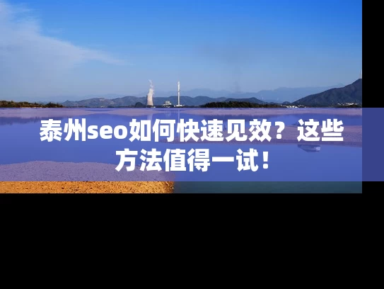 泰州seo如何快速见效？这些方法值得一试！