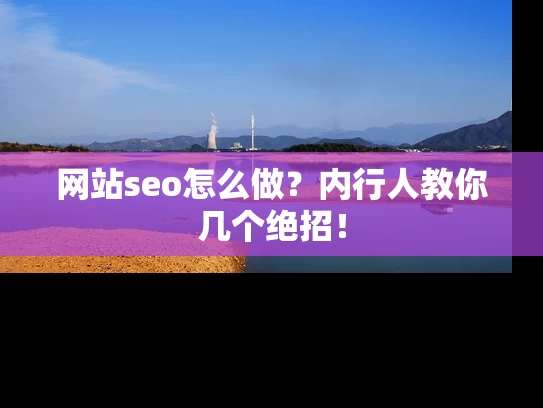 网站seo怎么做？内行人教你几个绝招！