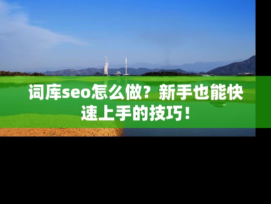 词库seo怎么做？新手也能快速上手的技巧！