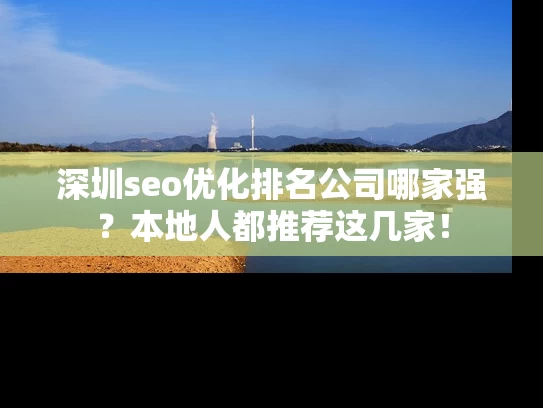 深圳seo优化排名公司哪家强？本地人都推荐这几家！