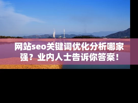 网站seo关键词优化分析哪家强？业内人士告诉你答案！