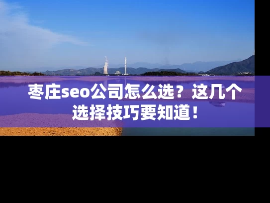 枣庄seo公司怎么选？这几个选择技巧要知道！