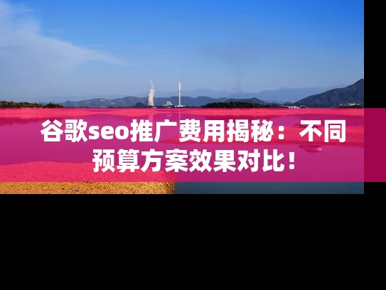 谷歌seo推广费用揭秘：不同预算方案效果对比！