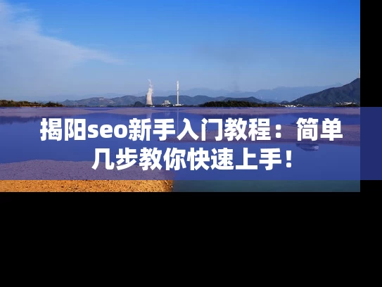 揭阳seo新手入门教程：简单几步教你快速上手！