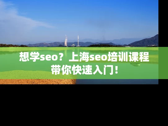 想学seo？上海seo培训课程带你快速入门！