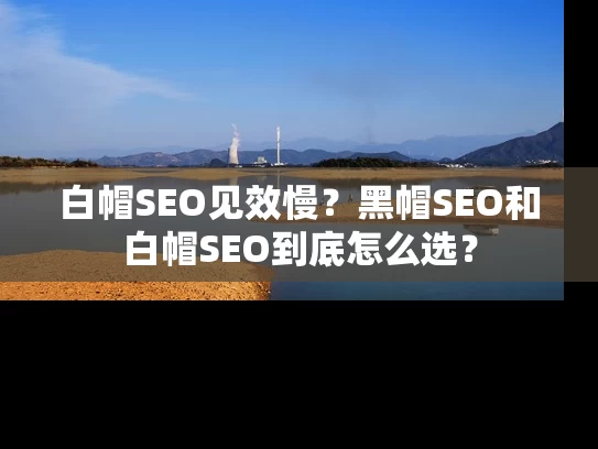 白帽SEO见效慢？黑帽SEO和白帽SEO到底怎么选？