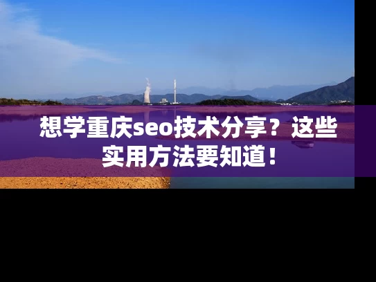 想学重庆seo技术分享？这些实用方法要知道！