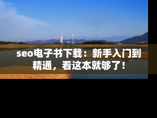 seo电子书下载：新手入门到精通，看这本就够了！