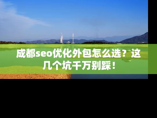 成都seo优化外包怎么选？这几个坑千万别踩！
