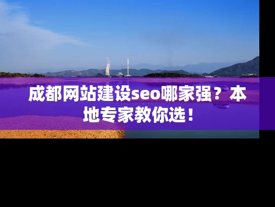 成都网站建设seo哪家强？本地专家教你选！