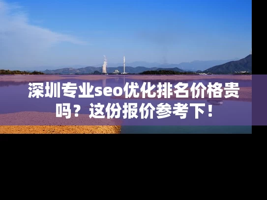 深圳专业seo优化排名价格贵吗？这份报价参考下！