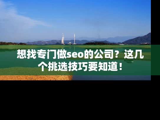 想找专门做seo的公司？这几个挑选技巧要知道！