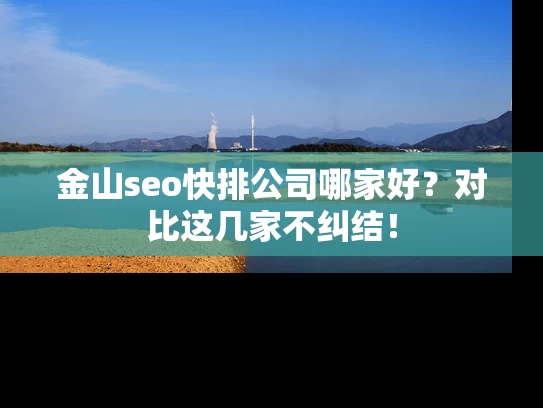 金山seo快排公司哪家好？对比这几家不纠结！