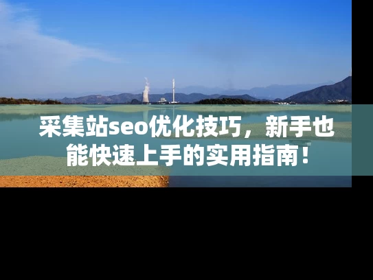 采集站seo优化技巧，新手也能快速上手的实用指南！
