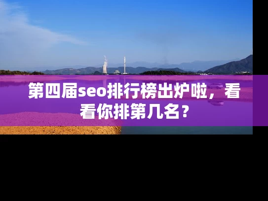 第四届seo排行榜出炉啦，看看你排第几名？
