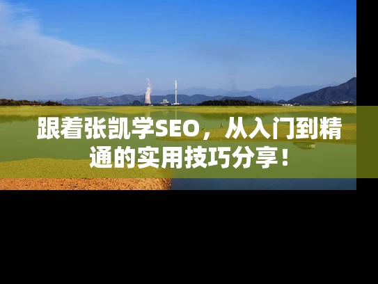 跟着张凯学SEO，从入门到精通的实用技巧分享！