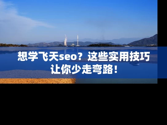 想学飞天seo？这些实用技巧让你少走弯路！