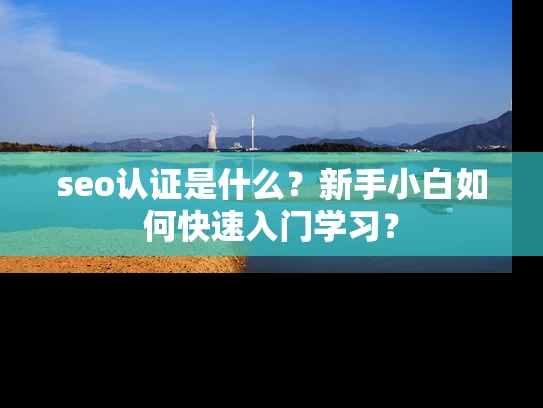 seo认证是什么？新手小白如何快速入门学习？