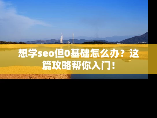 想学seo但0基础怎么办？这篇攻略帮你入门！