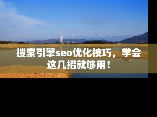 搜索引擎seo优化技巧，学会这几招就够用！