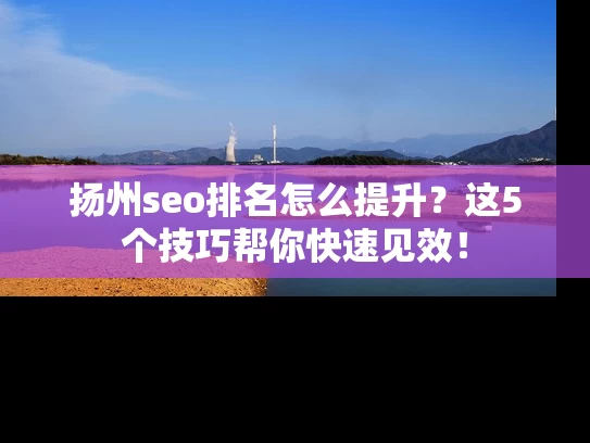 扬州seo排名怎么提升？这5个技巧帮你快速见效！