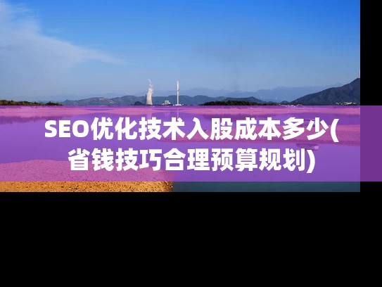 SEO优化技术入股成本多少(省钱技巧合理预算规划)