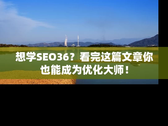 想学SEO36？看完这篇文章你也能成为优化大师！