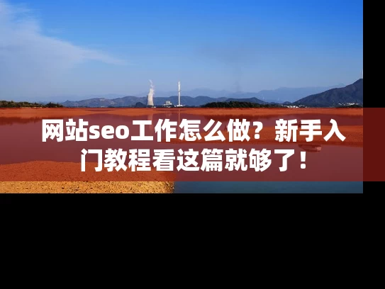 网站seo工作怎么做？新手入门教程看这篇就够了！