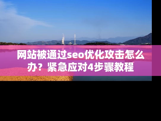 网站被通过seo优化攻击怎么办？紧急应对4步骤教程