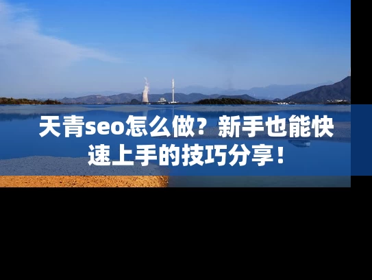 天青seo怎么做？新手也能快速上手的技巧分享！