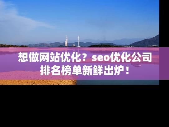 想做网站优化？seo优化公司排名榜单新鲜出炉！