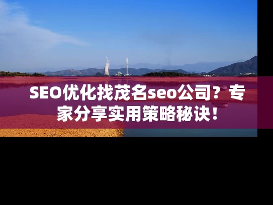 SEO优化找茂名seo公司？专家分享实用策略秘诀！