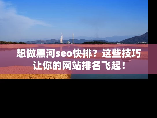 想做黑河seo快排？这些技巧让你的网站排名飞起！