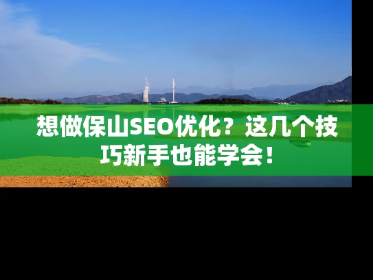 想做保山SEO优化？这几个技巧新手也能学会！