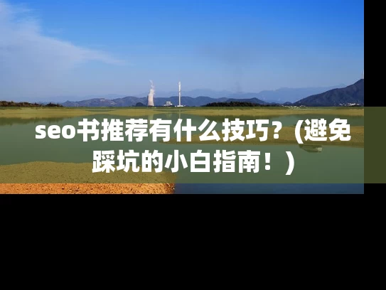 seo书推荐有什么技巧？(避免踩坑的小白指南！)