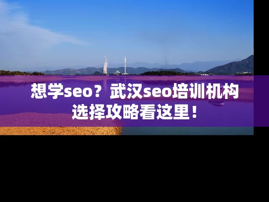 想学seo？武汉seo培训机构选择攻略看这里！
