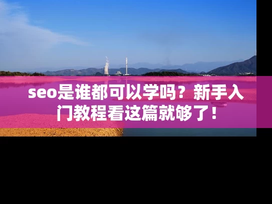 seo是谁都可以学吗？新手入门教程看这篇就够了！